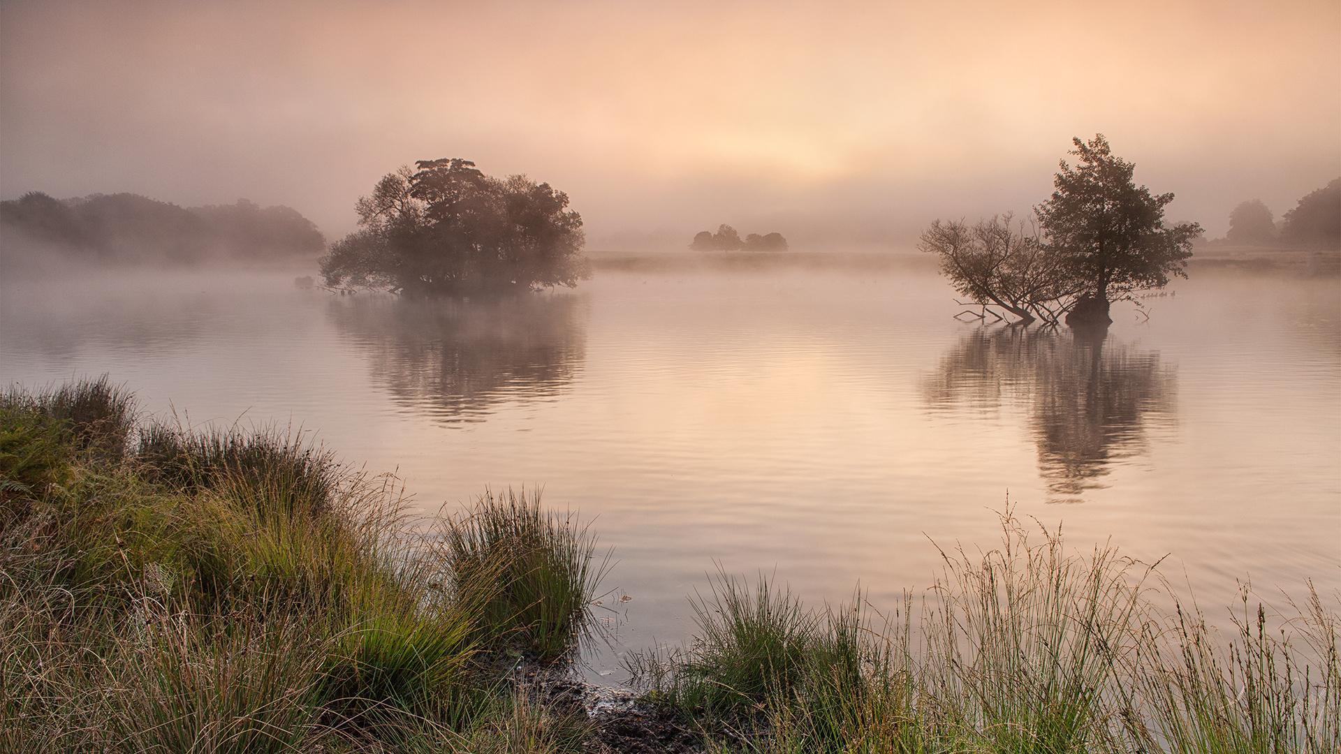 misty-morning-wallpapers-wallpaper-cave