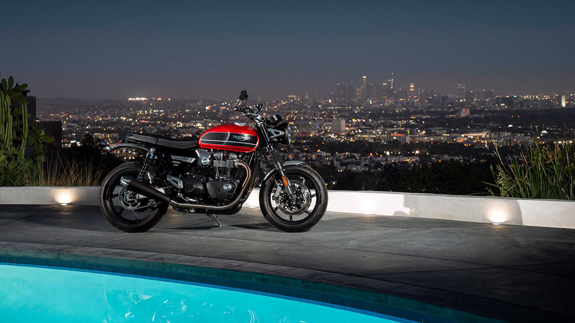 Everyone, Meet The New 2019 Triumph Speed Twin