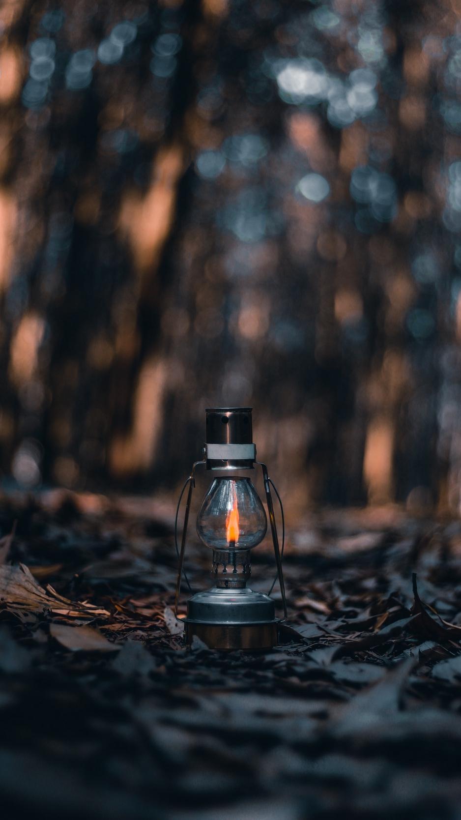 Download Wallpaper 938x1668 Lamp, Lantern, Fire, Leaves, Dry, Autumn Iphone 8 7 6s 6 For Parallax HD Background