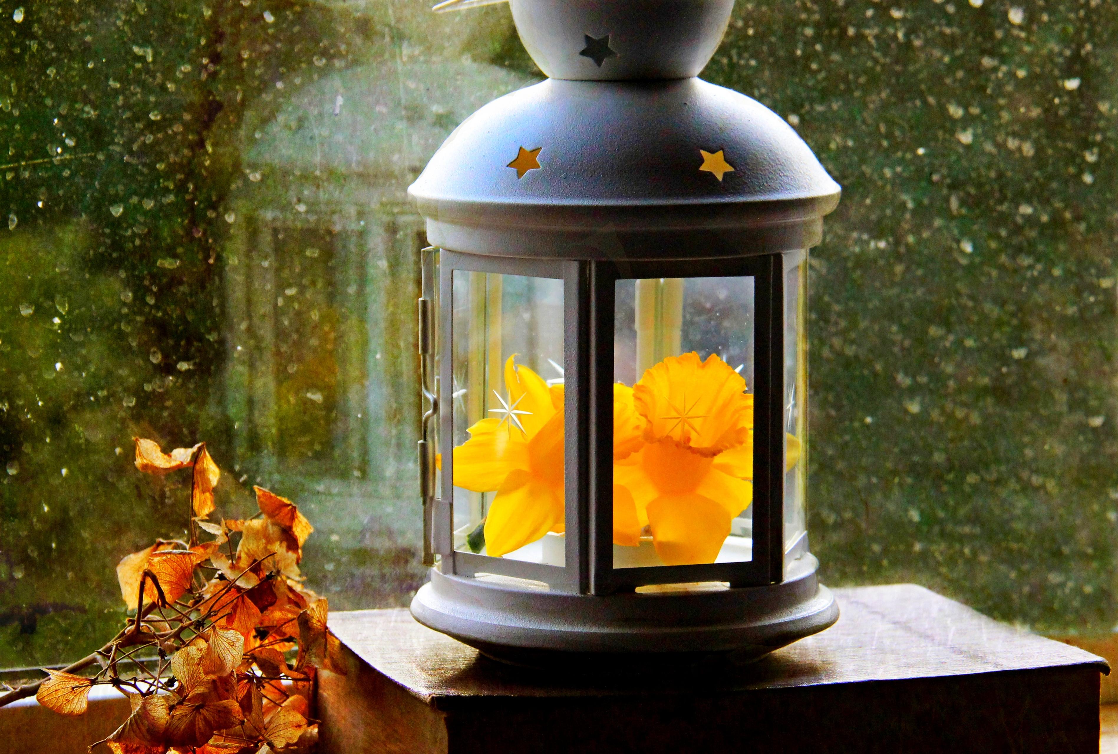 Lantern paper leaves flower narcissus window drops autumn