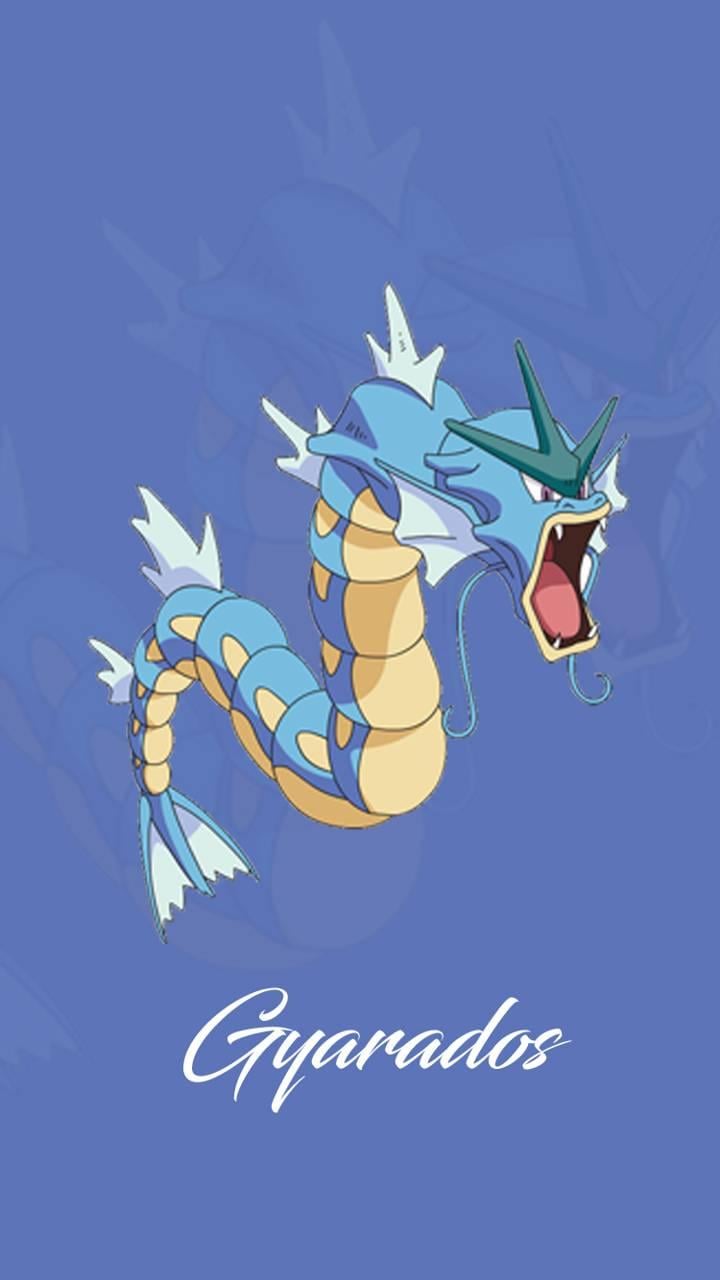 Gyrados Wallpapers - Wallpaper Cave