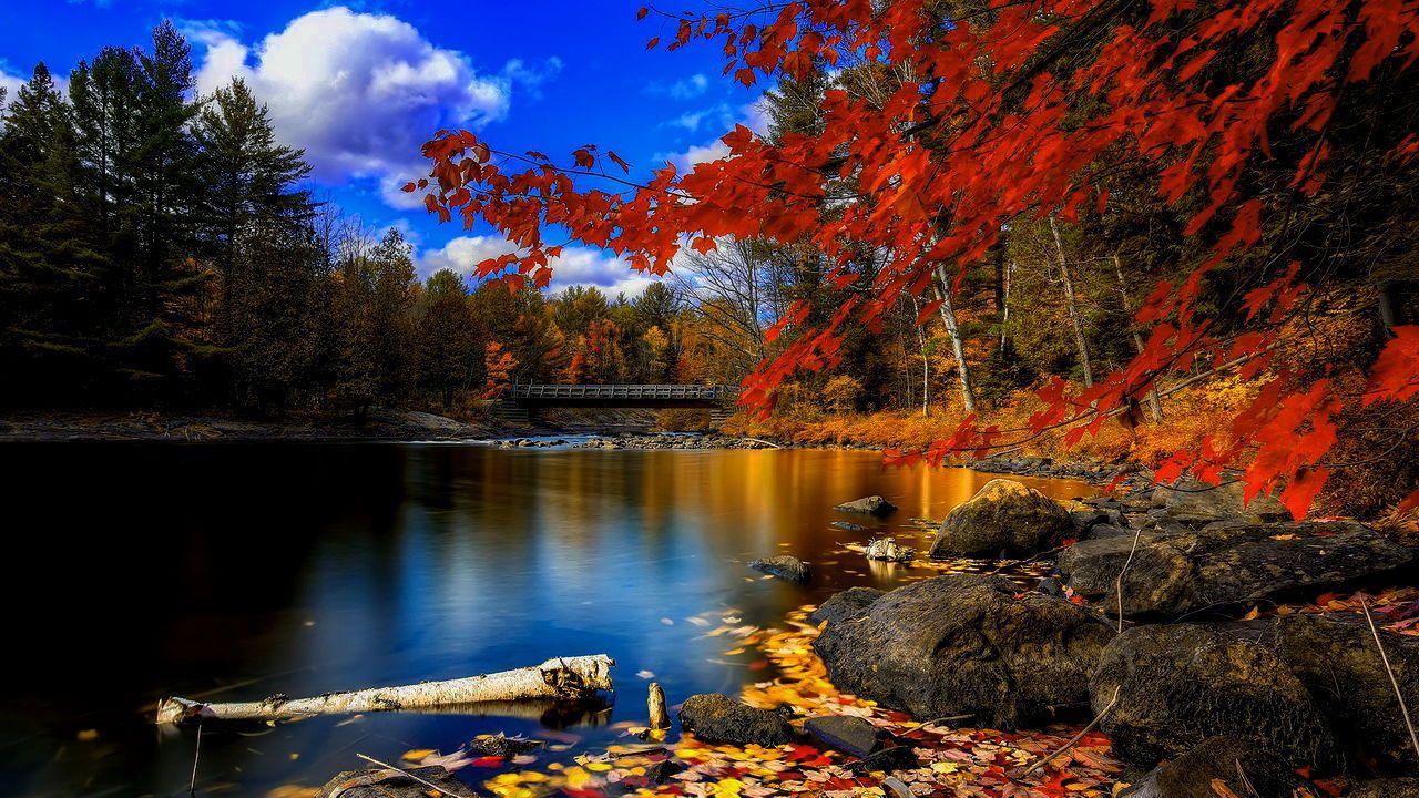 Autumn Lake Wallpaper. Season Wallpaper. Musim gugur, Seni