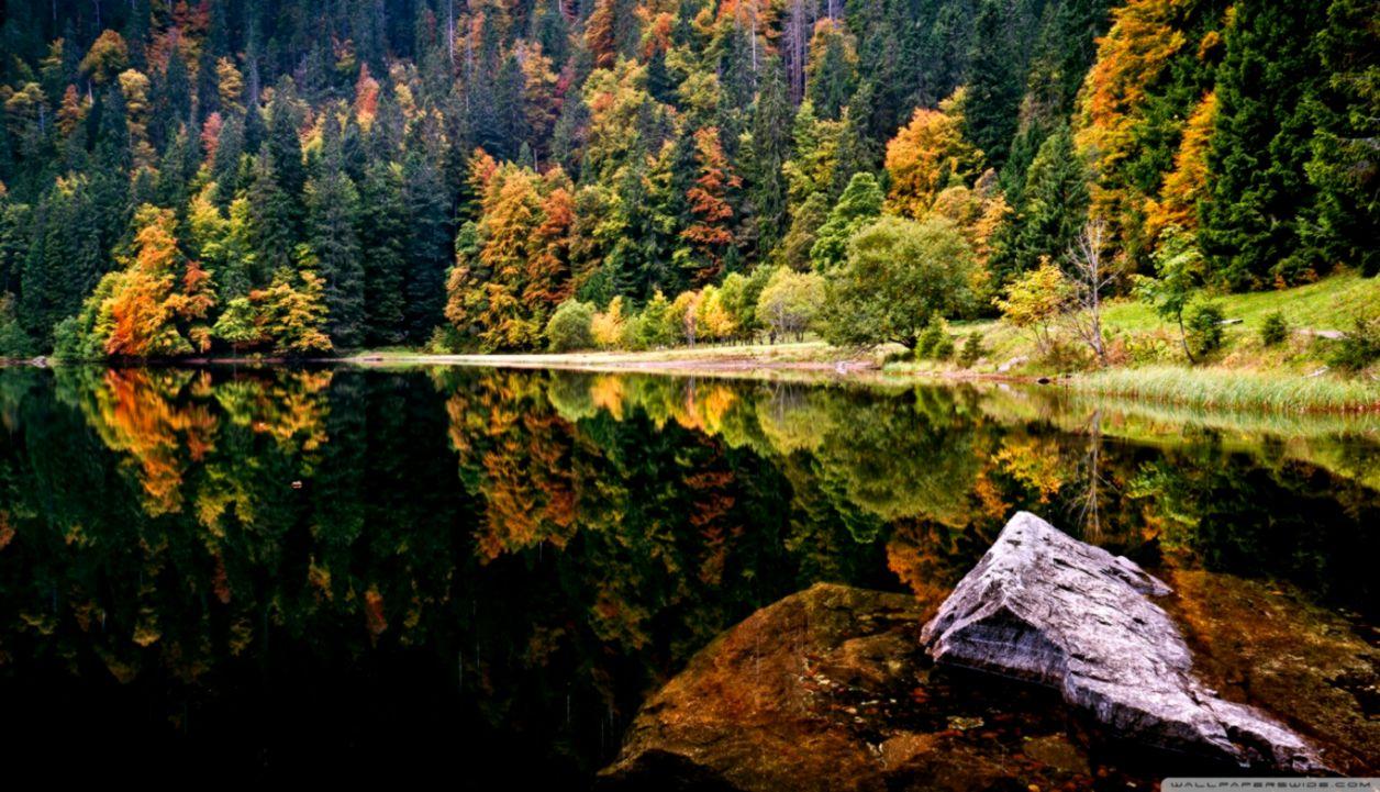 Autumn Lake Picture HD Wallpaper