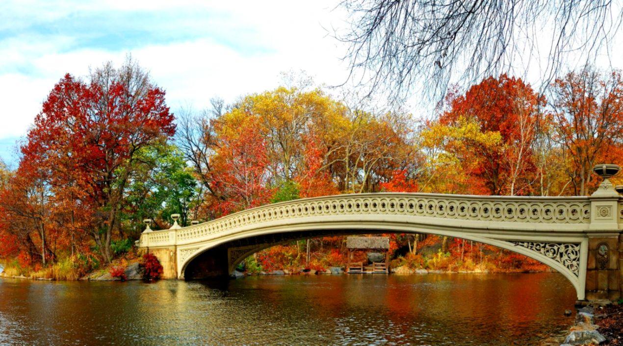 Autumn Lake Picture HD Wallpaper