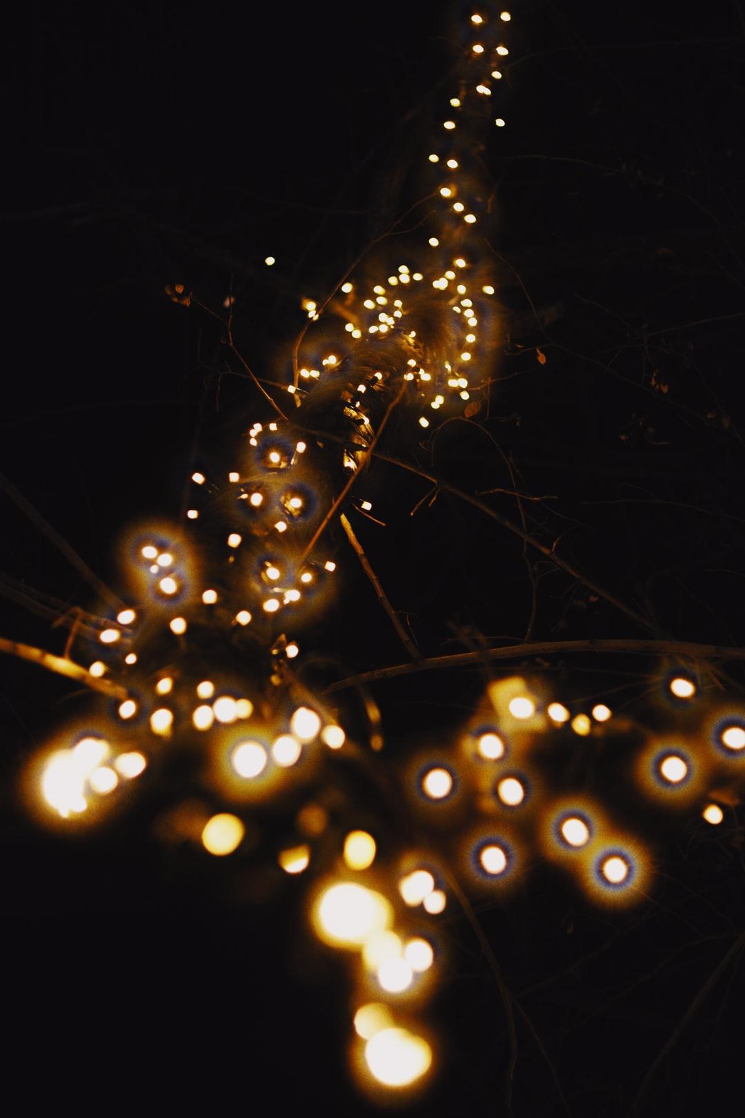 Glow, vsco, christmas and christmas tree