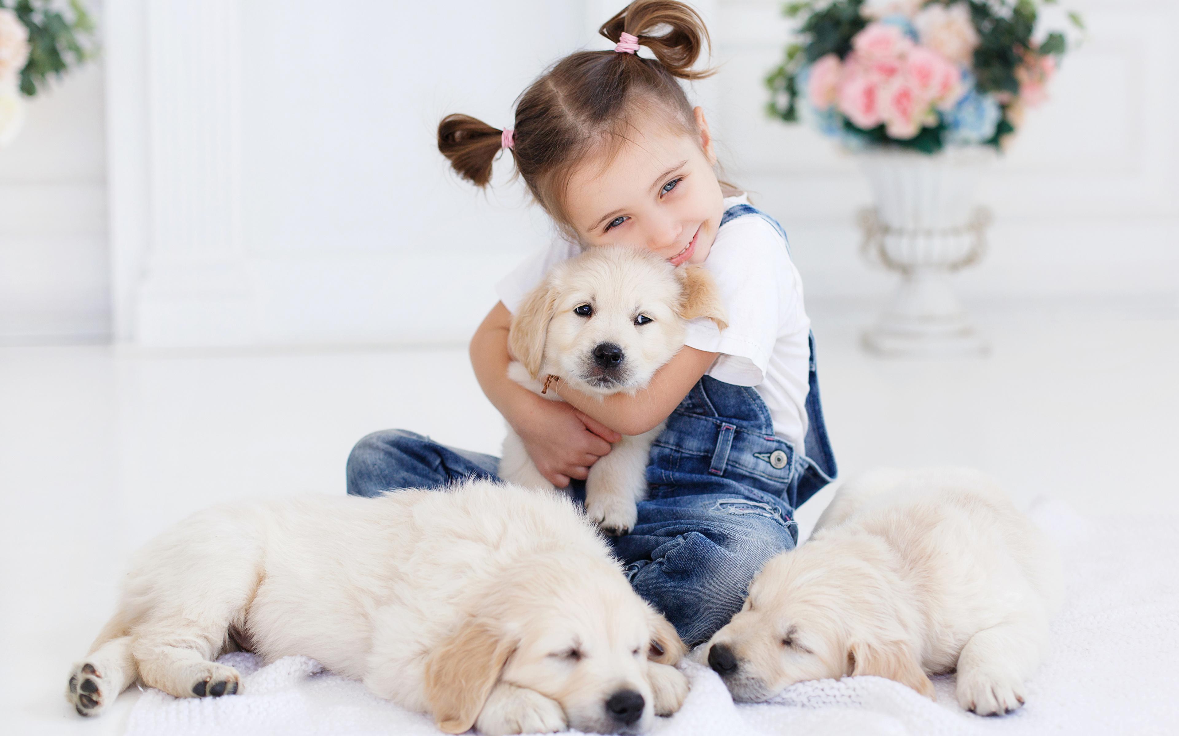 Desktop Wallpaper puppies Retriever Little girls dog 3840x2400