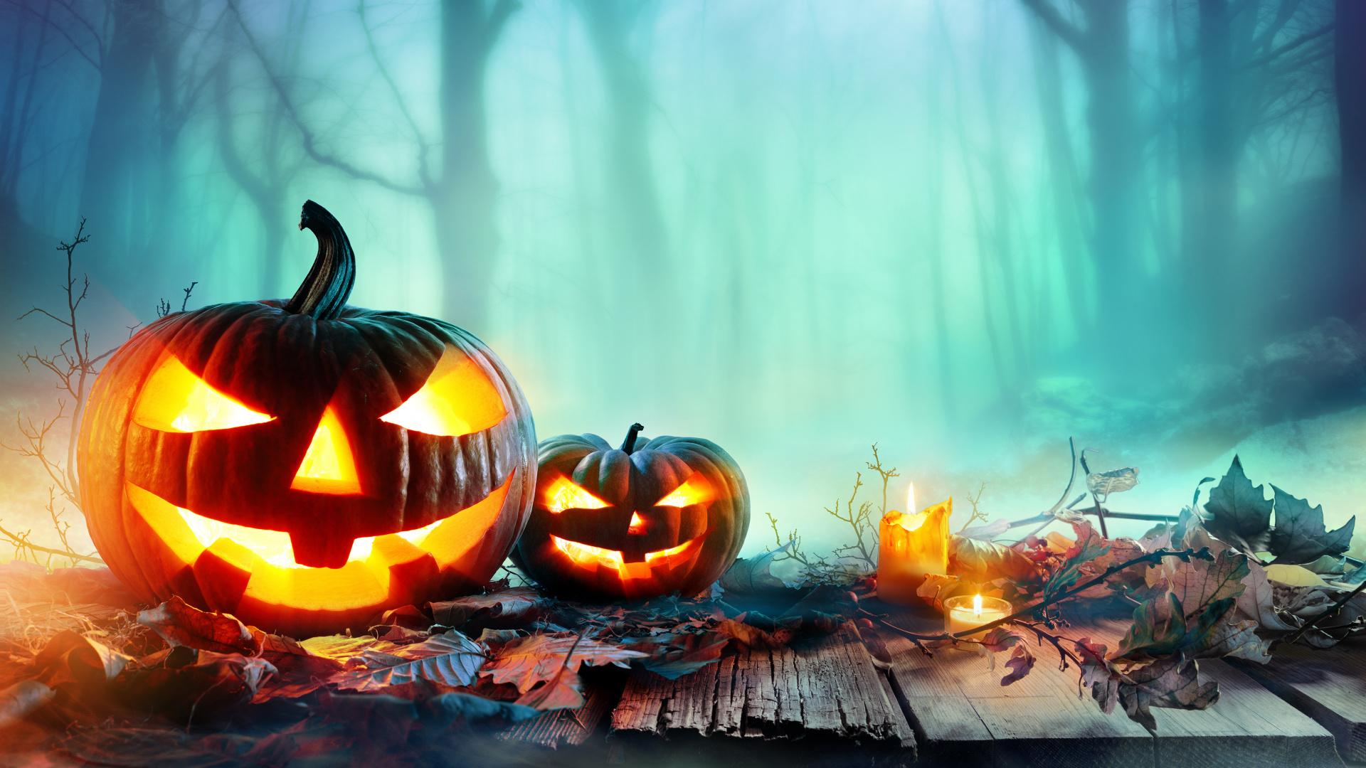 Pumpkin, Cucurbita, Heat, Halloween, Jack o Lantern Full HD