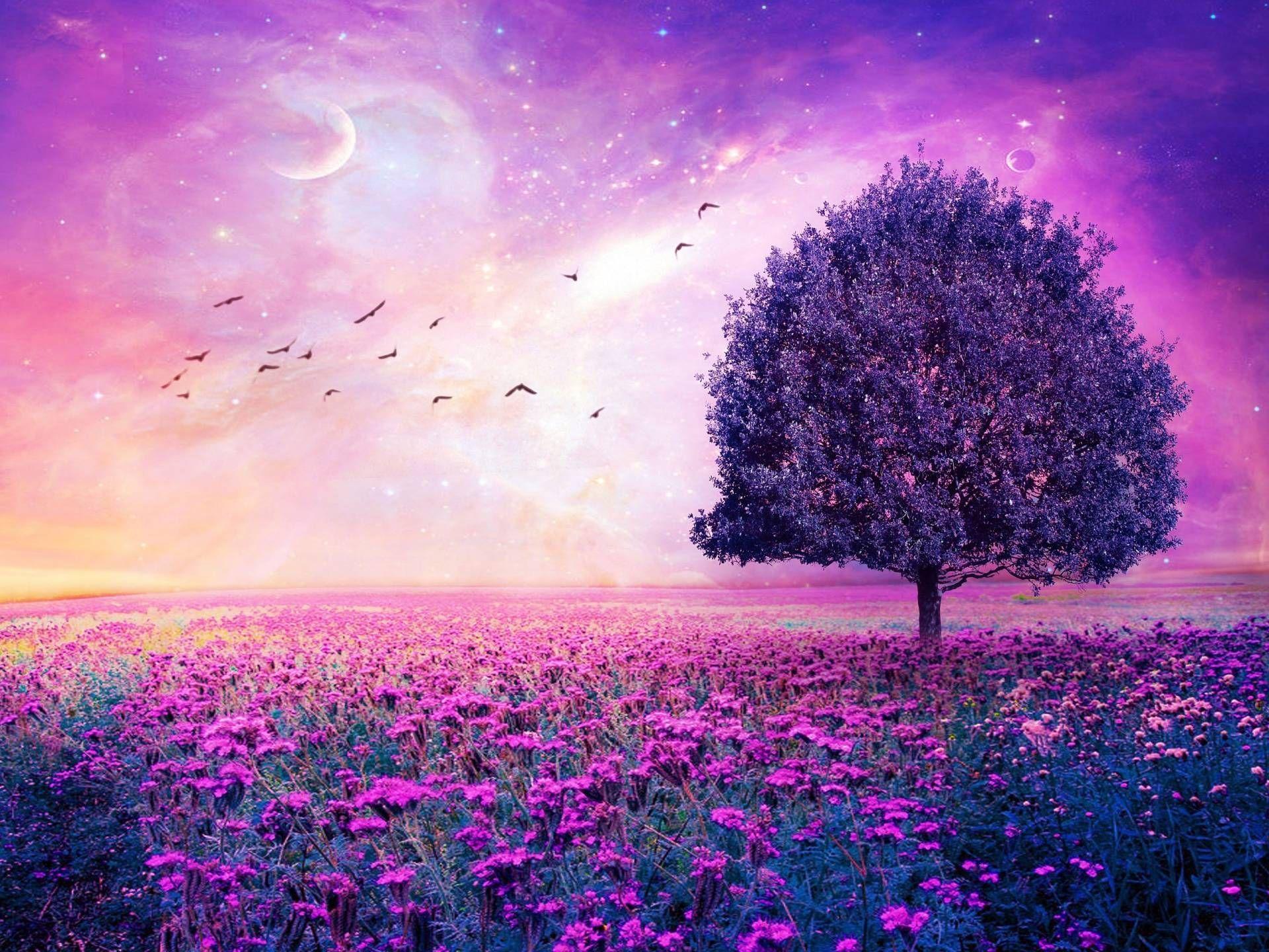 Field of Purple Flowers Wallpaper at