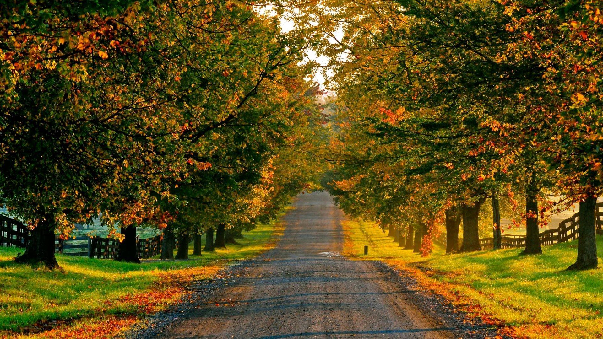Countryside, Road, In, Autumn, Wide, HD, Wallpaper, Download