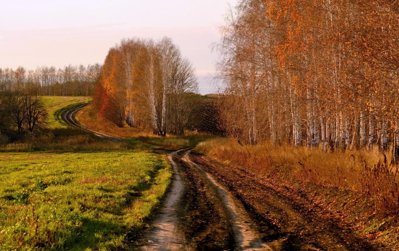 Country Road in Autumn wallpaper. Country Road in Autumn