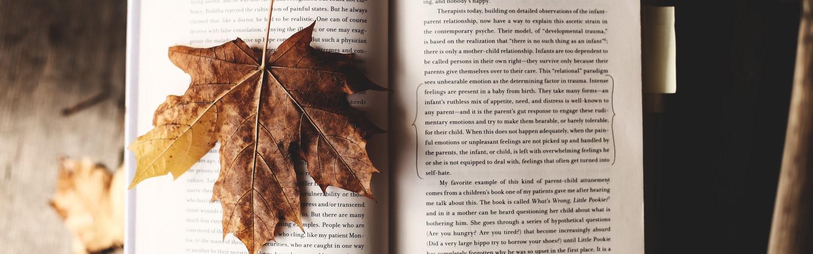 Fall and Autumn Wallpaper. best free wallpaper