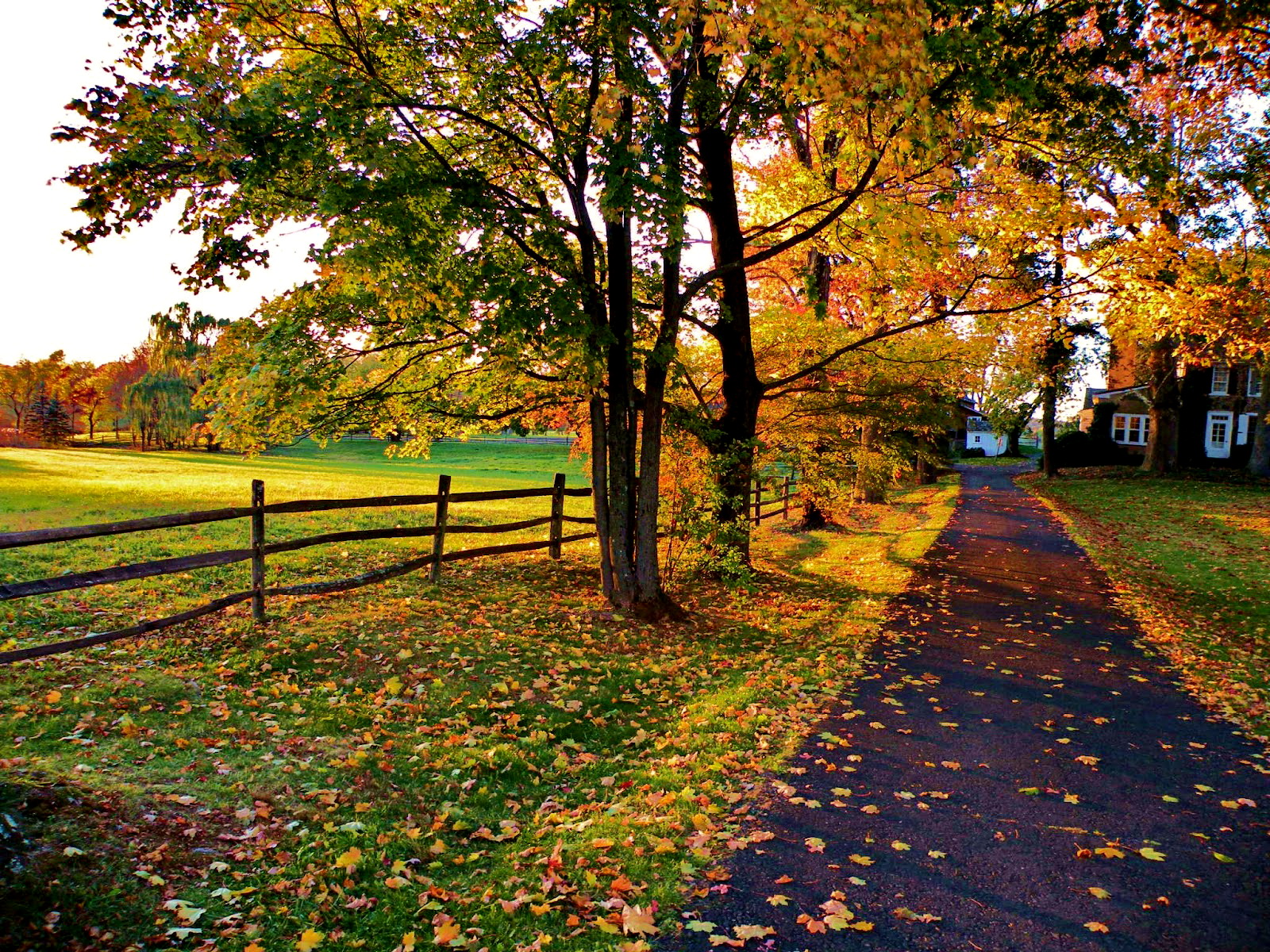 Free download Autumn in countryside wallpaper