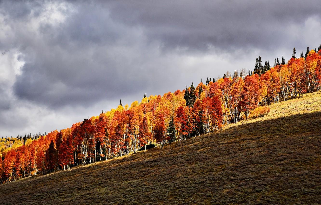 Wallpaper autumn, hill, orange, autumn colors, sunlight