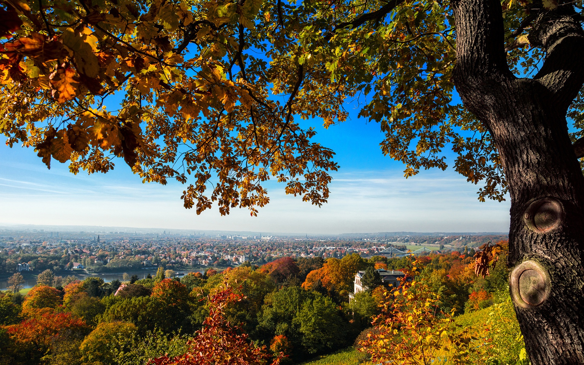Wallpaper Dresden, Germany, hill, trees, autumn 1920x1200 HD Picture, Image