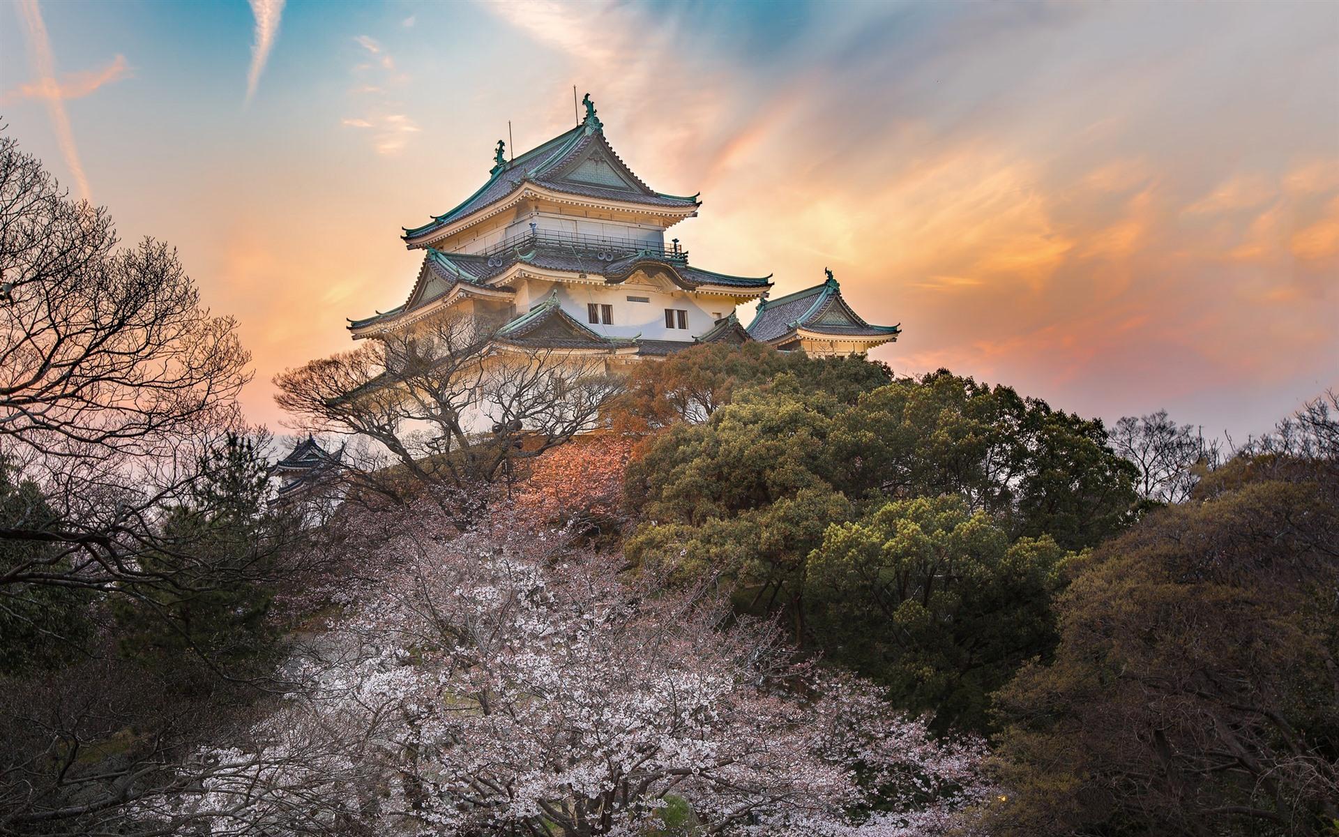 Wallpaper Japan, temple, trees, dusk 1920x1200 HD Picture, Image