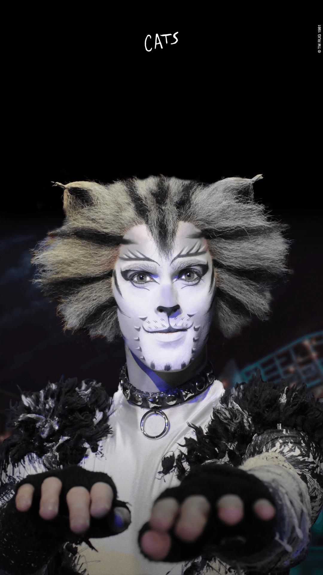 iPhone Wallpaper the Musical. Cats. Cats