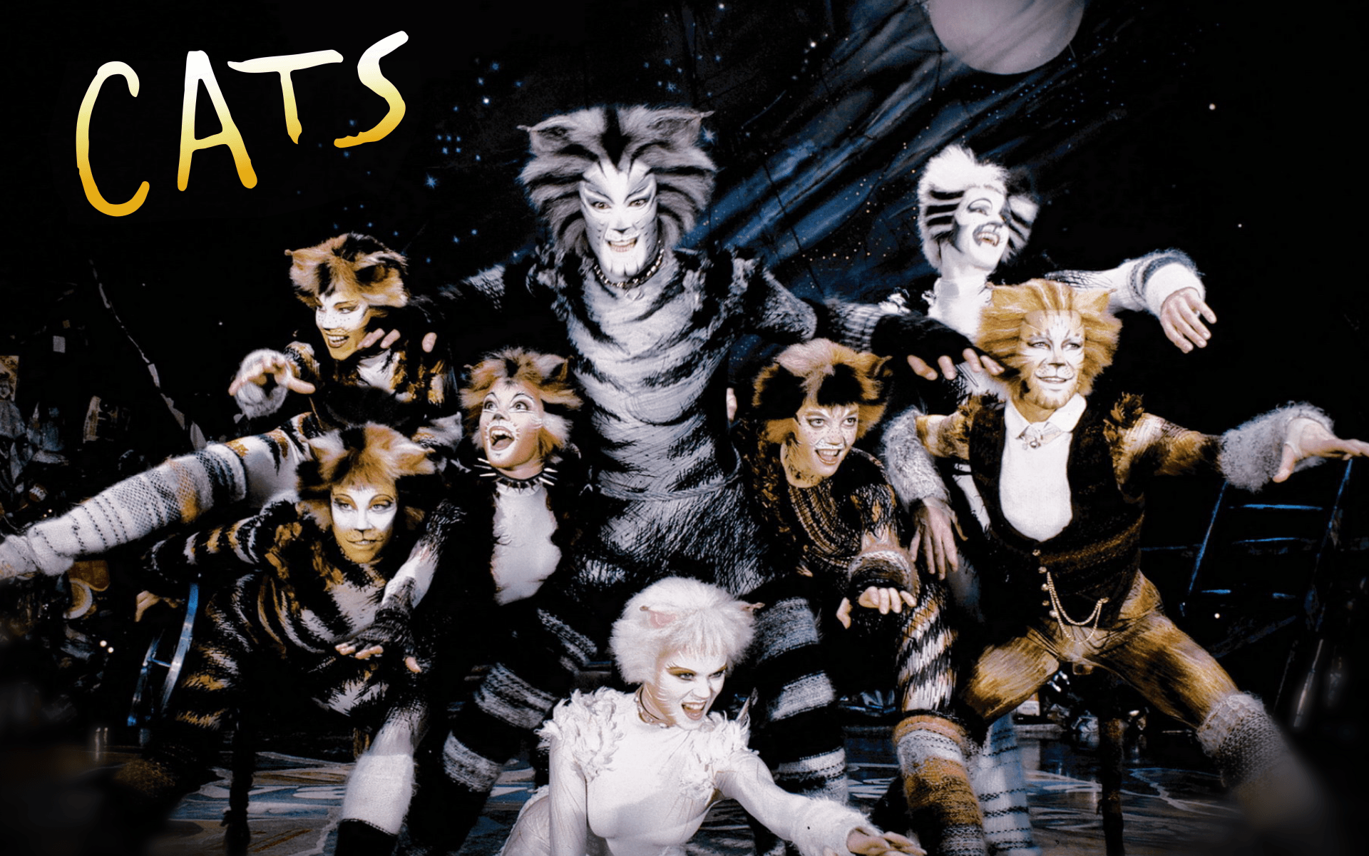 Cats Musical Wallpaper. Stage Musicals. Cats musical, Cat
