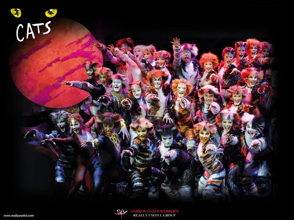 Memories.. Musicals. Cats musical, Jellicle cats