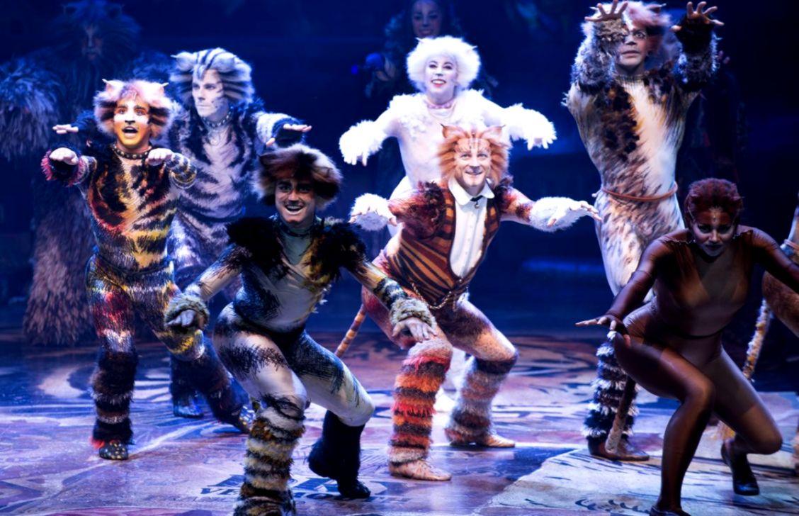 Fun Facts Cats The Musical
