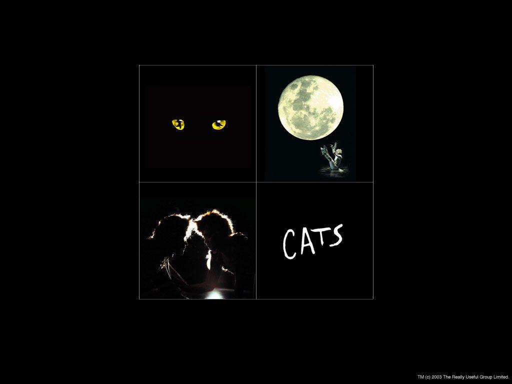 Musicals:. iPhone wallpaper cat