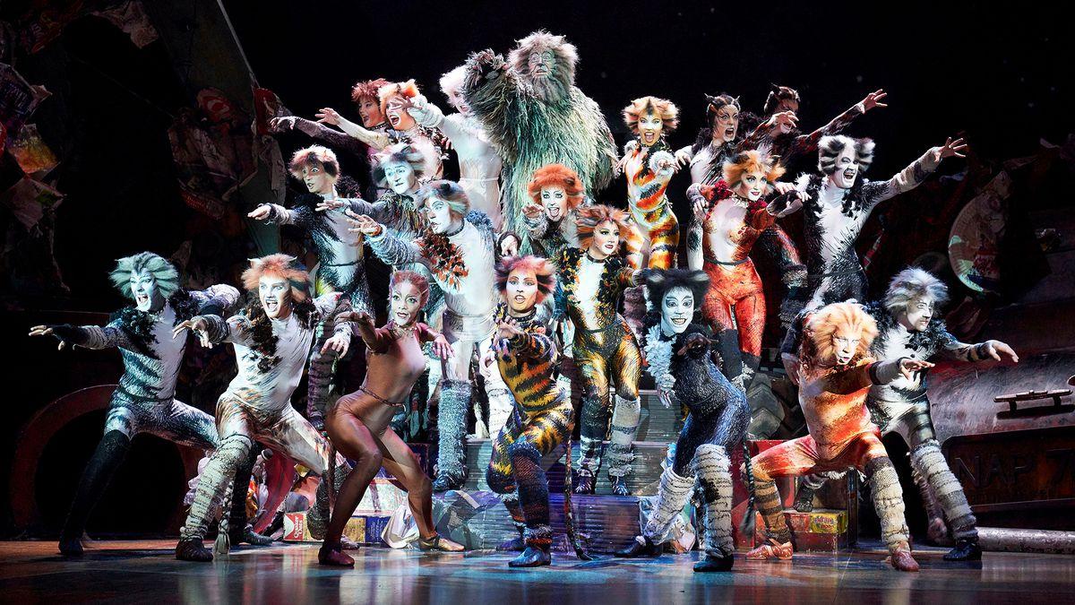 Cats: Explaining the story, the songs, and the weird cat
