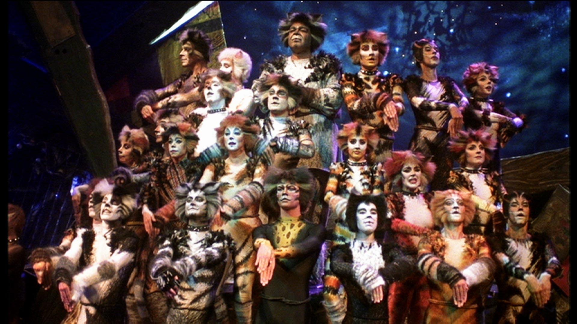 Cats the Musical: A Preview