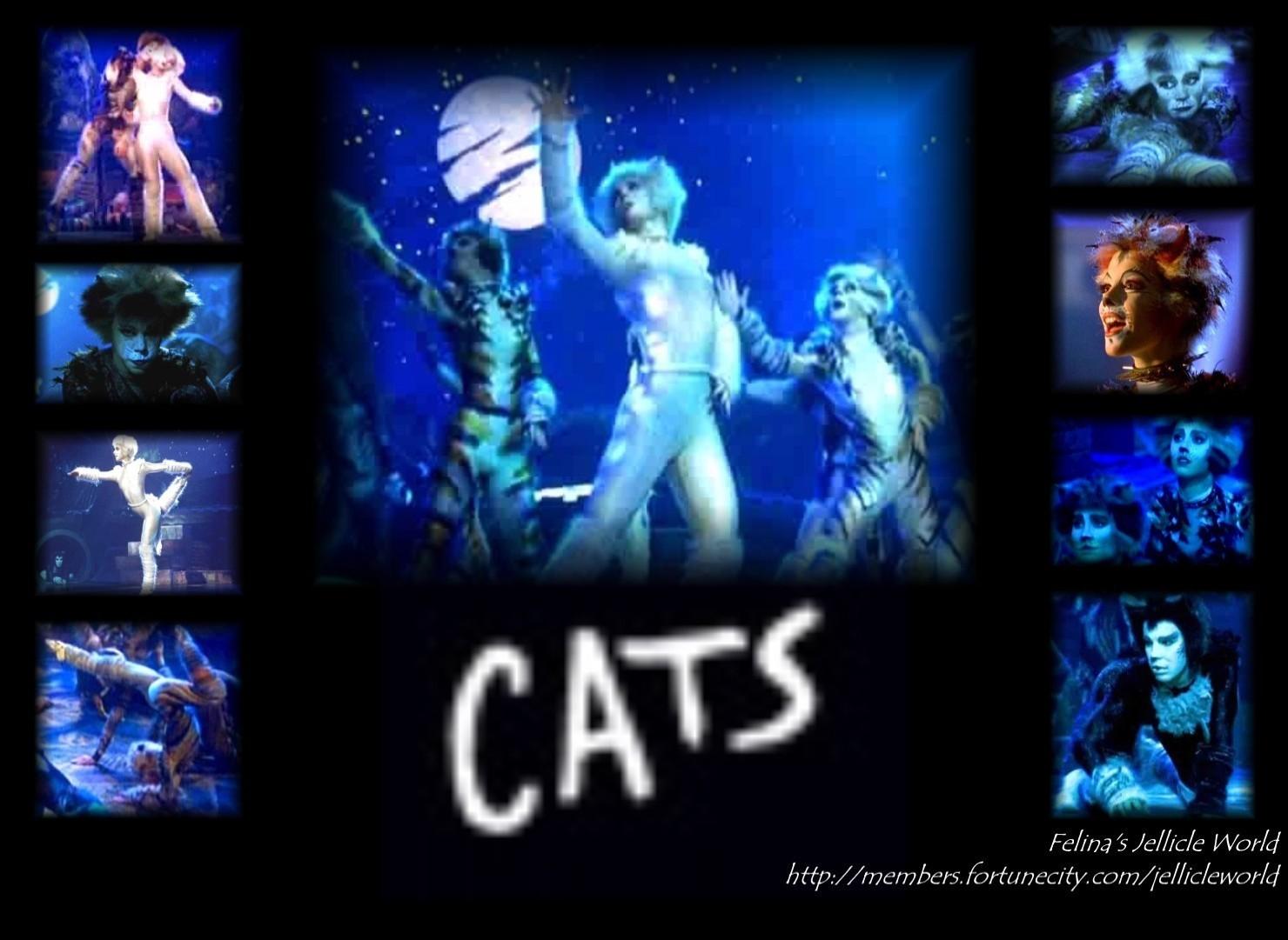 Cats Musical wall papers the Musical Photo 7261820