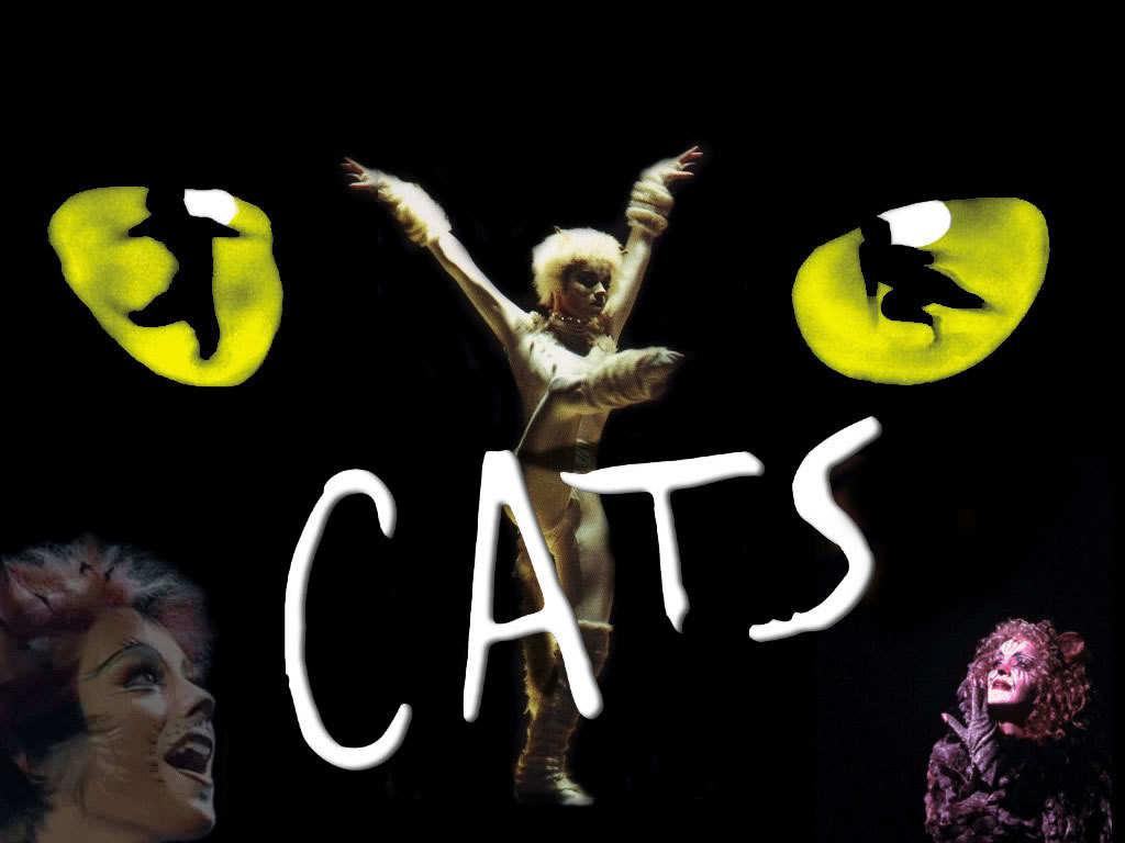 Sit in the Orchestra Pit at Cats the Musical on