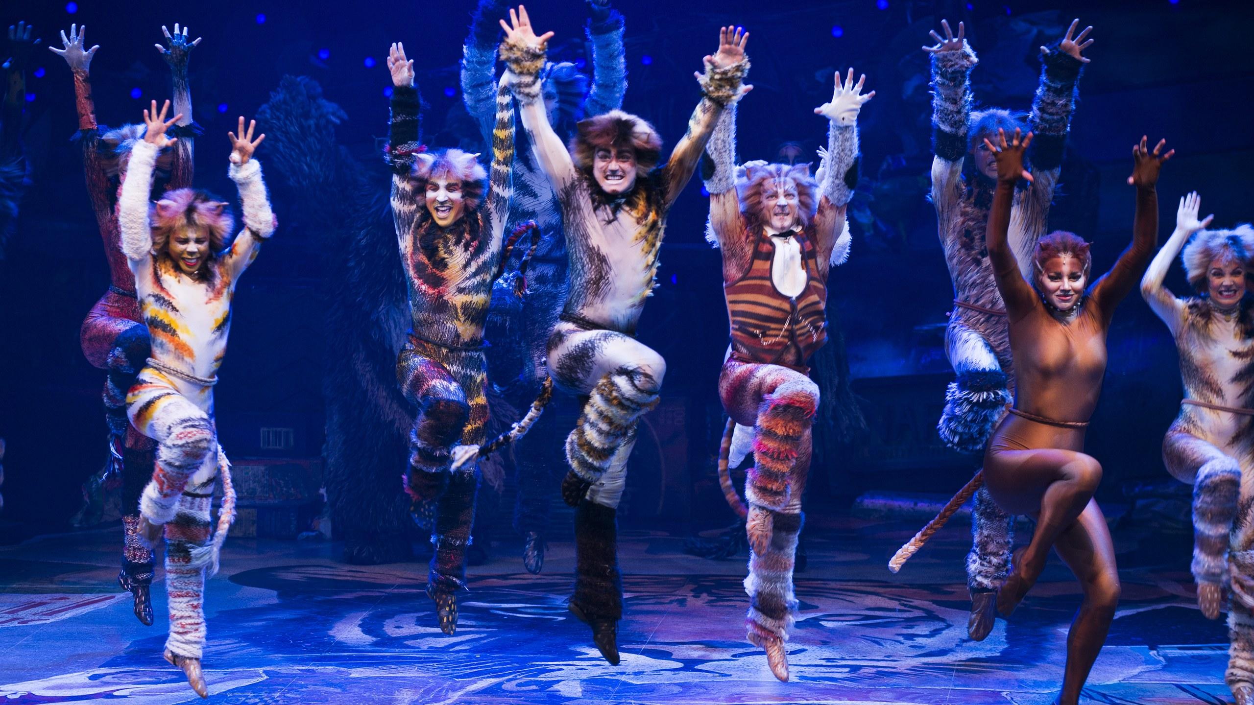 Everything You Need to Know About the Musical Cats. Teen