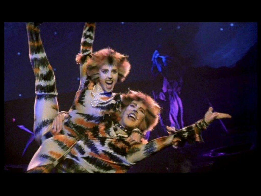 Cats the musical mungojerrie and rumpleteazer costume