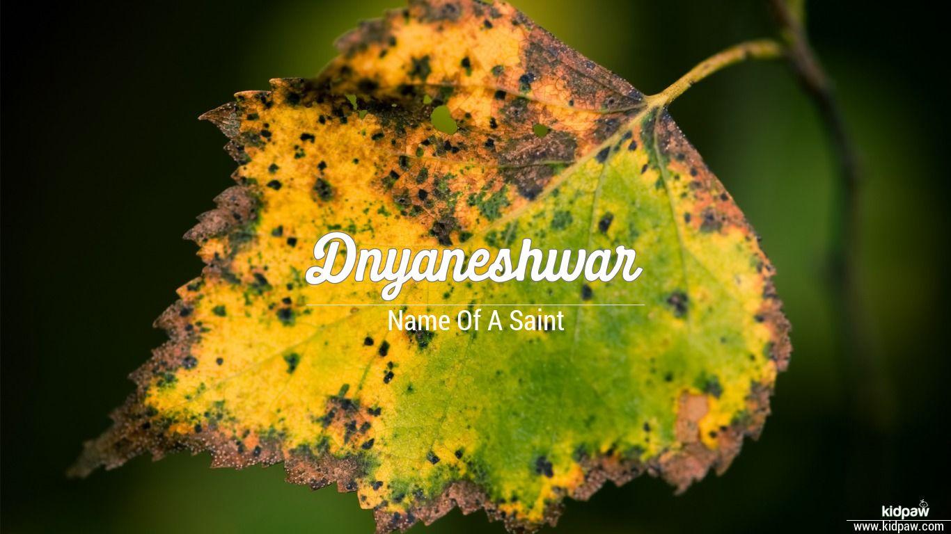 Dnyaneshwar 3D Name Wallpaper for Mobile, Write
