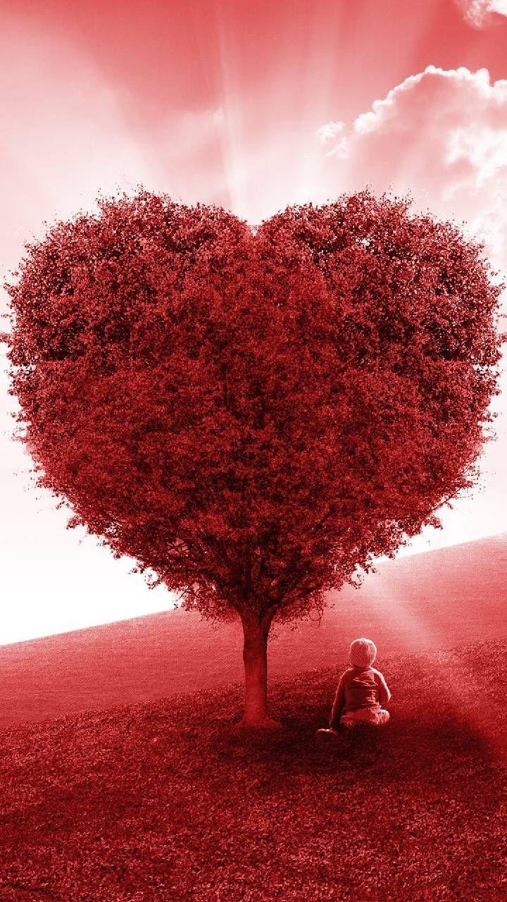 Download Red Love Heart Tree Wallpaper