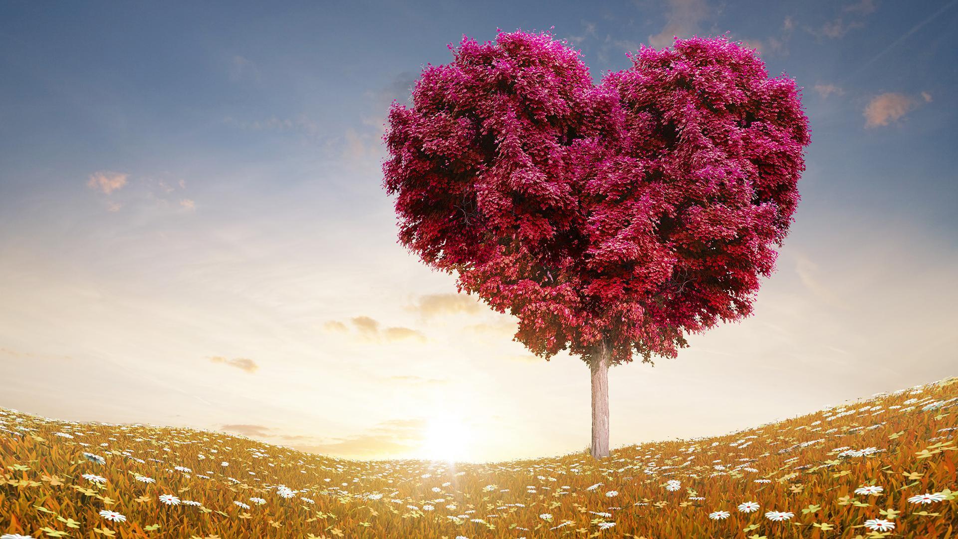 Love Tree Live Wallpaper for Android