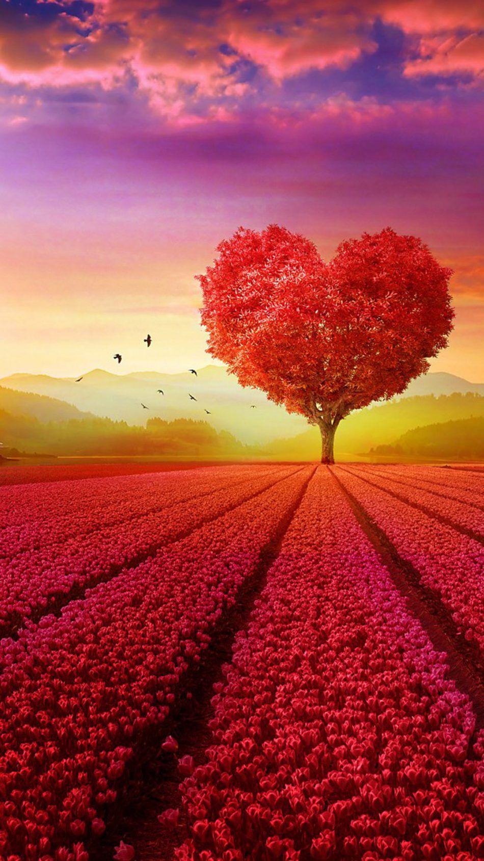 Love Heart Shape Tree Flowers. Nature Wallpaper. Tree