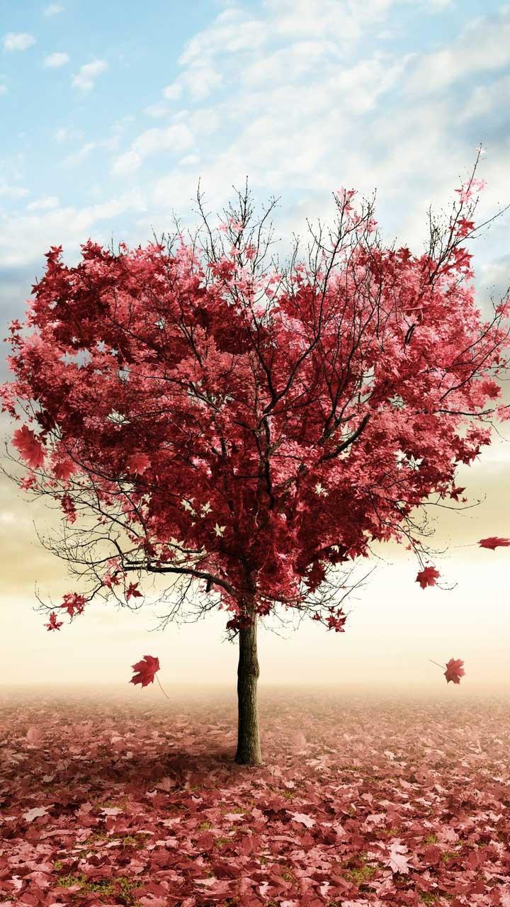 Love Tree Live Wallpaper for Android