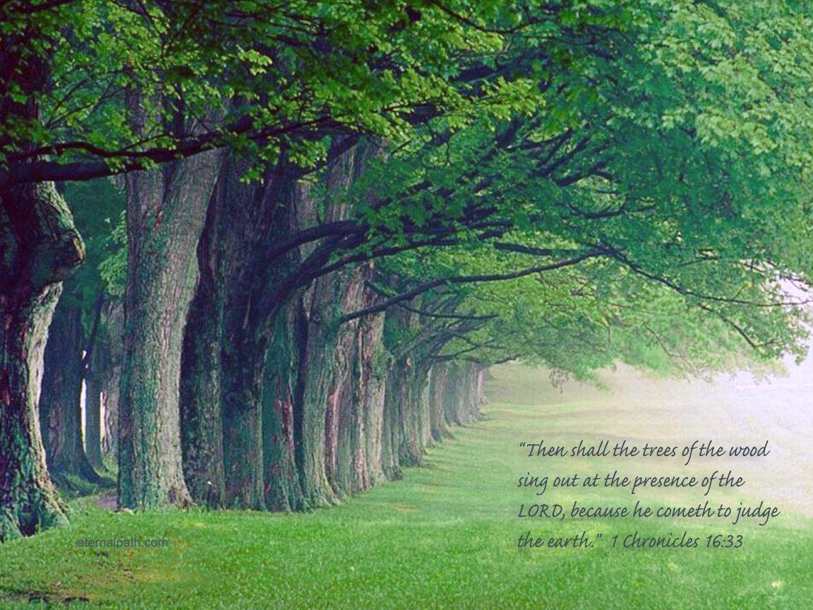 Chronicles 16:33 Trees Wallpaper
