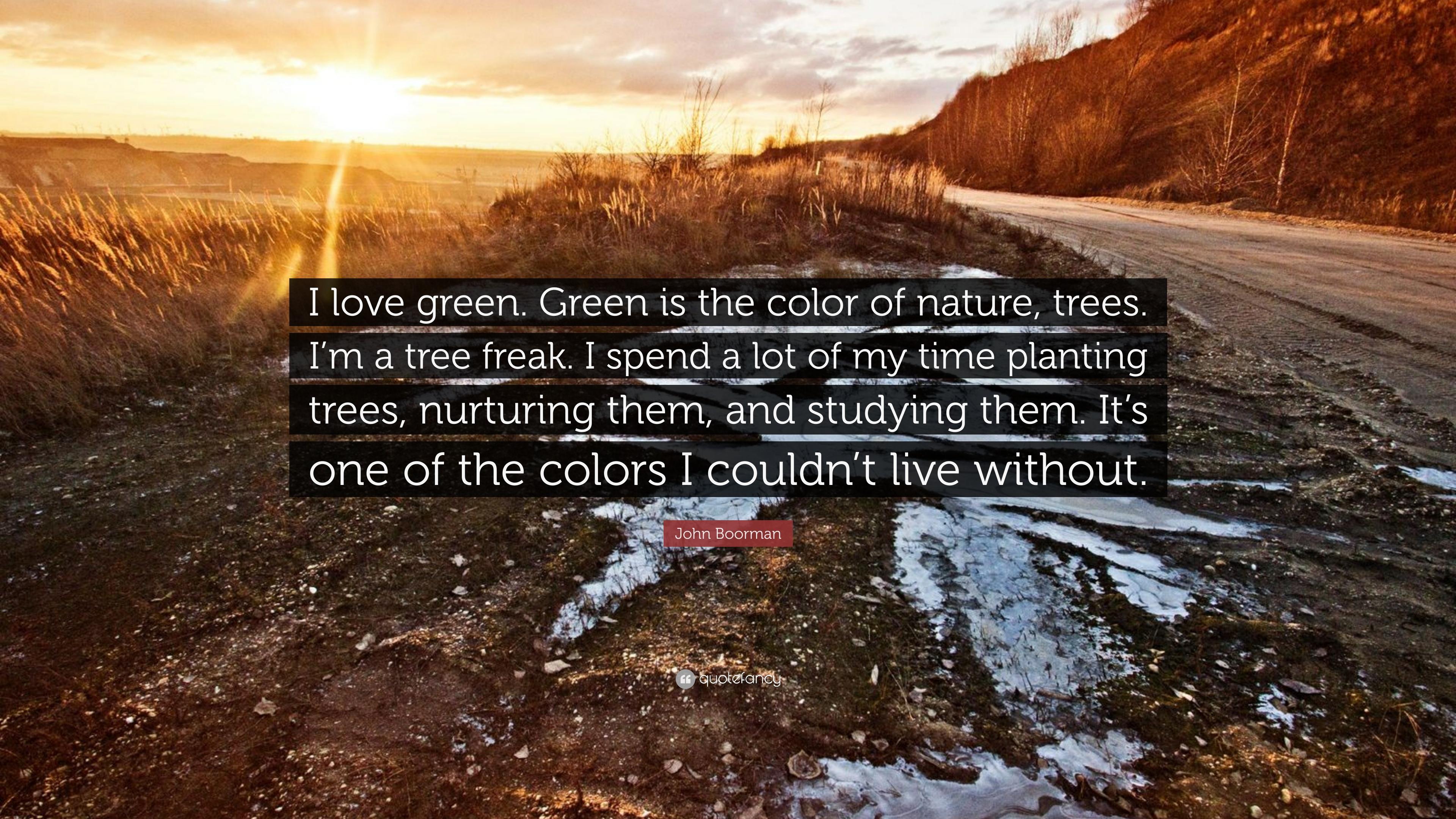 John Boorman Quote: “I love green. Green is the color