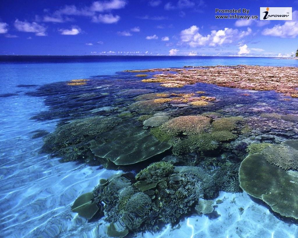 islands marshall coral reef wallpaper Art HD Wallpaper