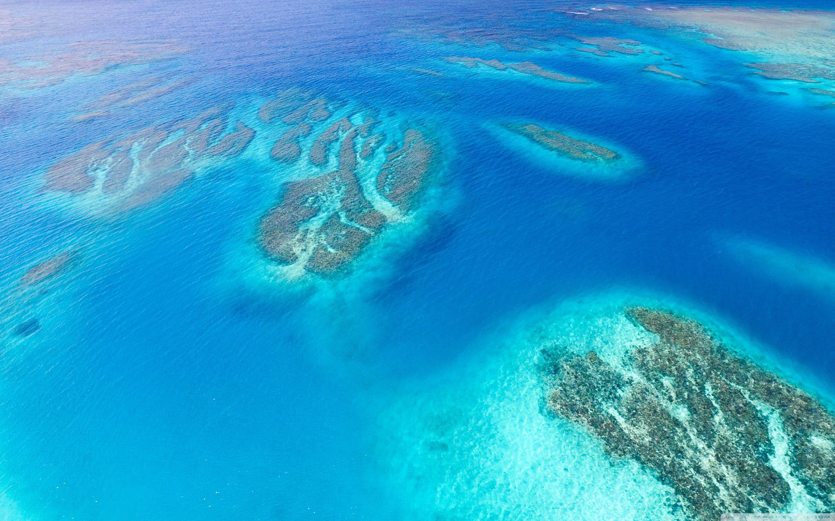 Aerial View Coral Reef Wallpaper