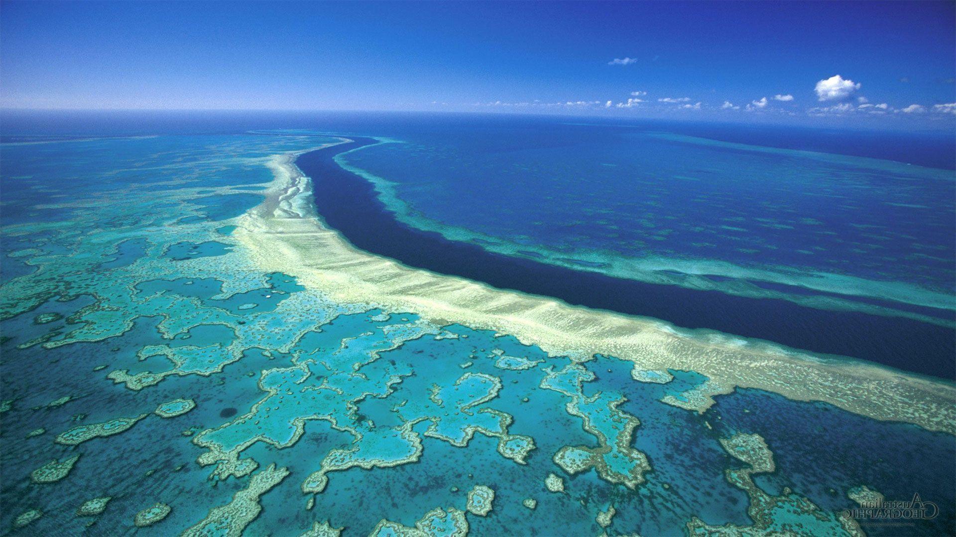 Great Barrier Reef Wallpaper