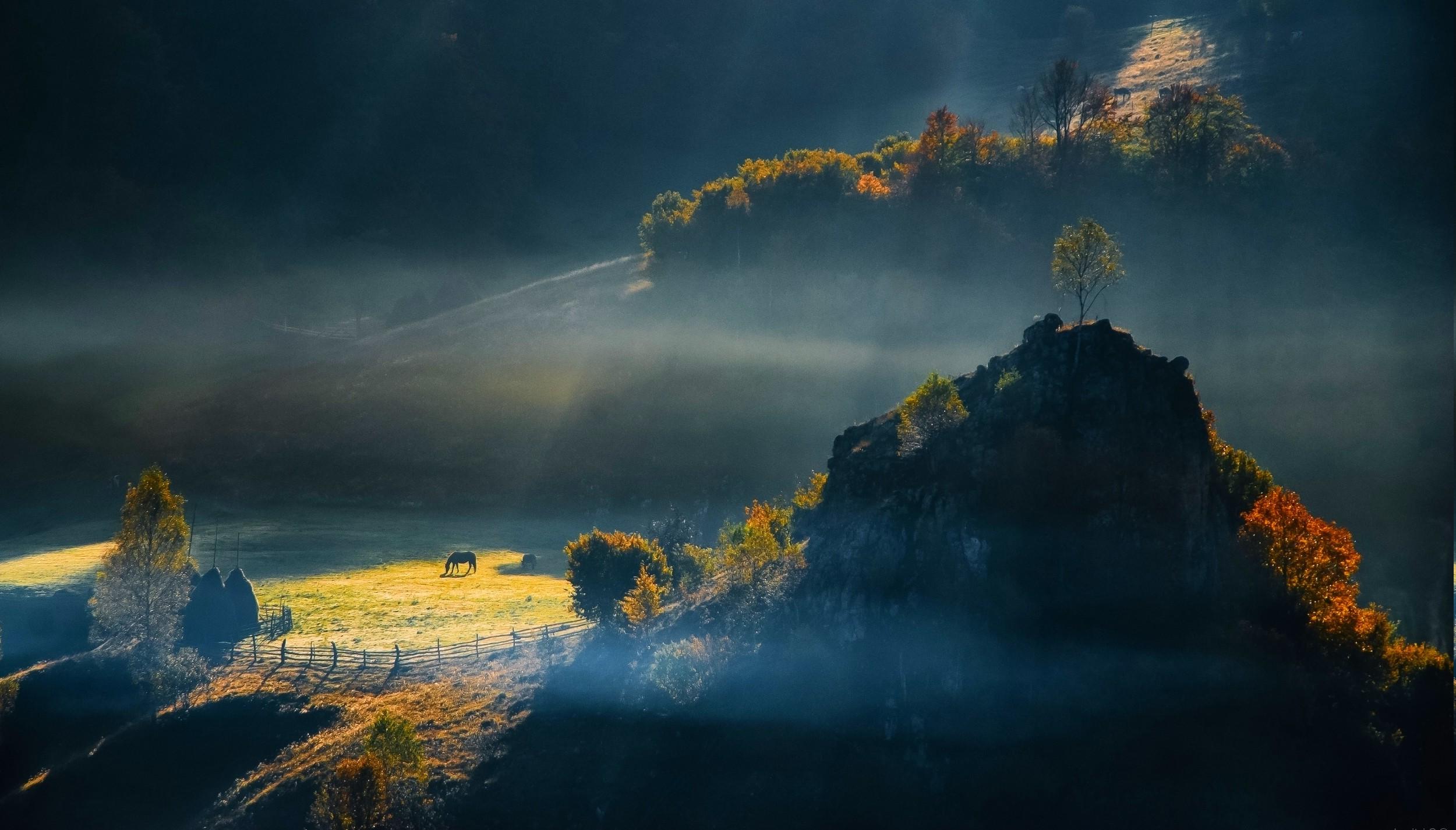 sunrise, Field, Romania, Nature, Trees, Hill, Landscape