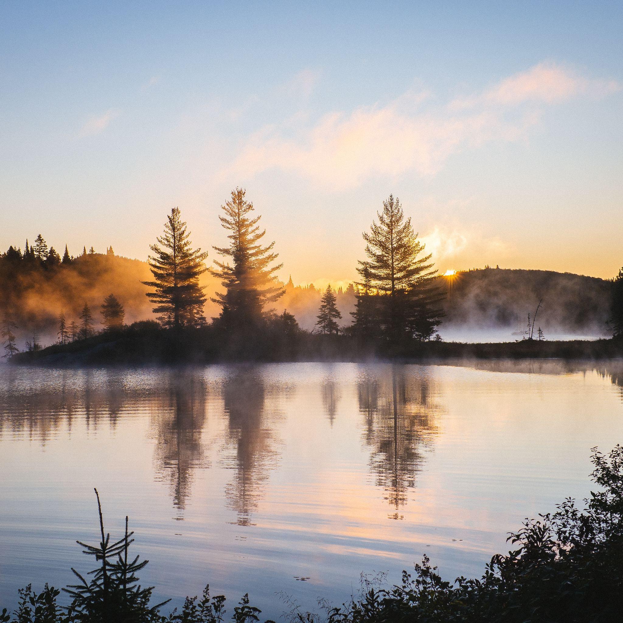 2048x2048 Lake Reflection Morning Mist Trees Nature Hd 4k