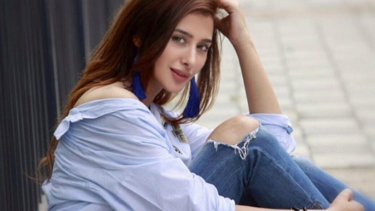 Mahira Sharma BB13 / Bigg Boss Contestant Wiki, Biography