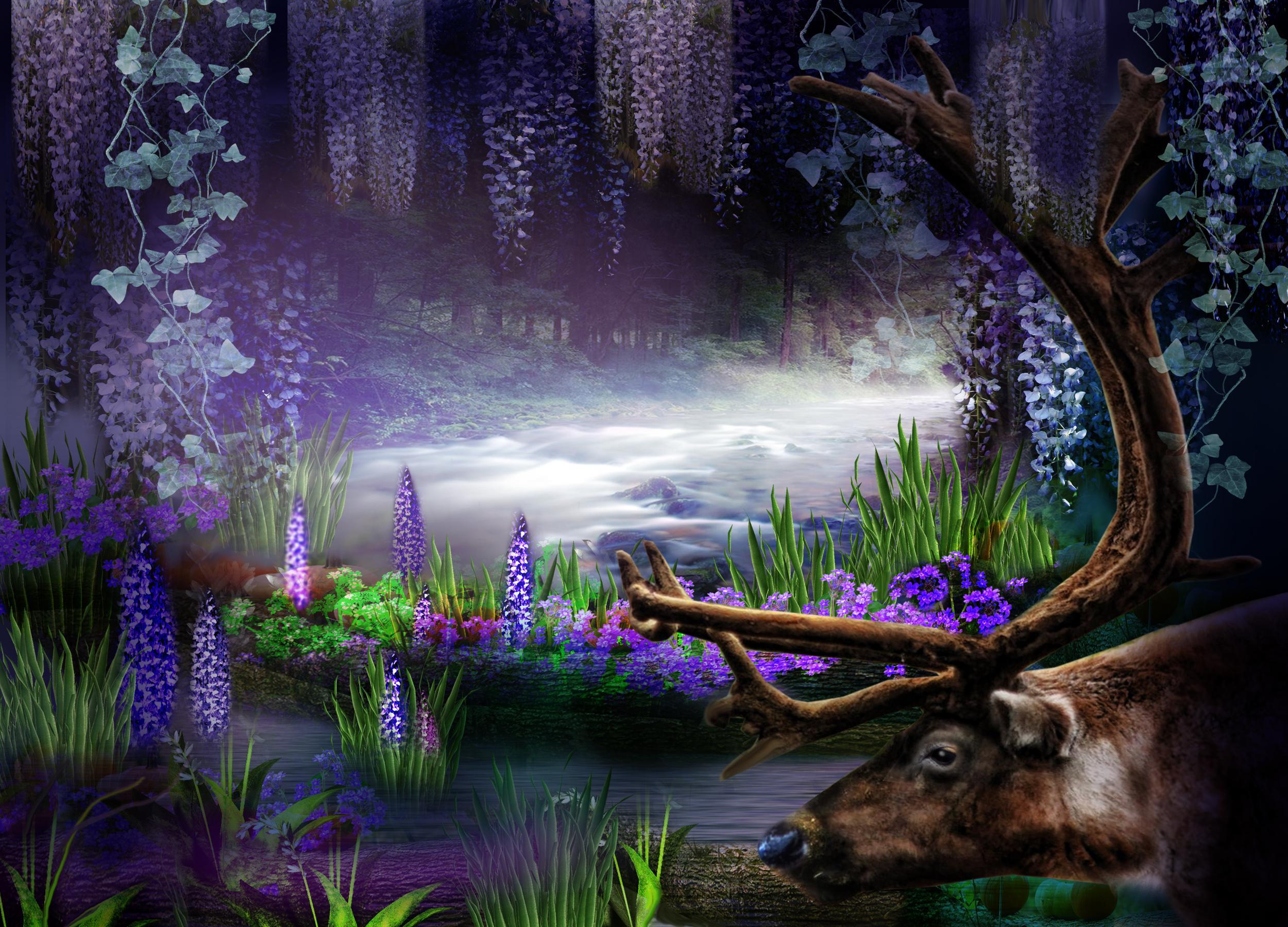 Purple Fantasy Forest HD Wallpaper. Background Image