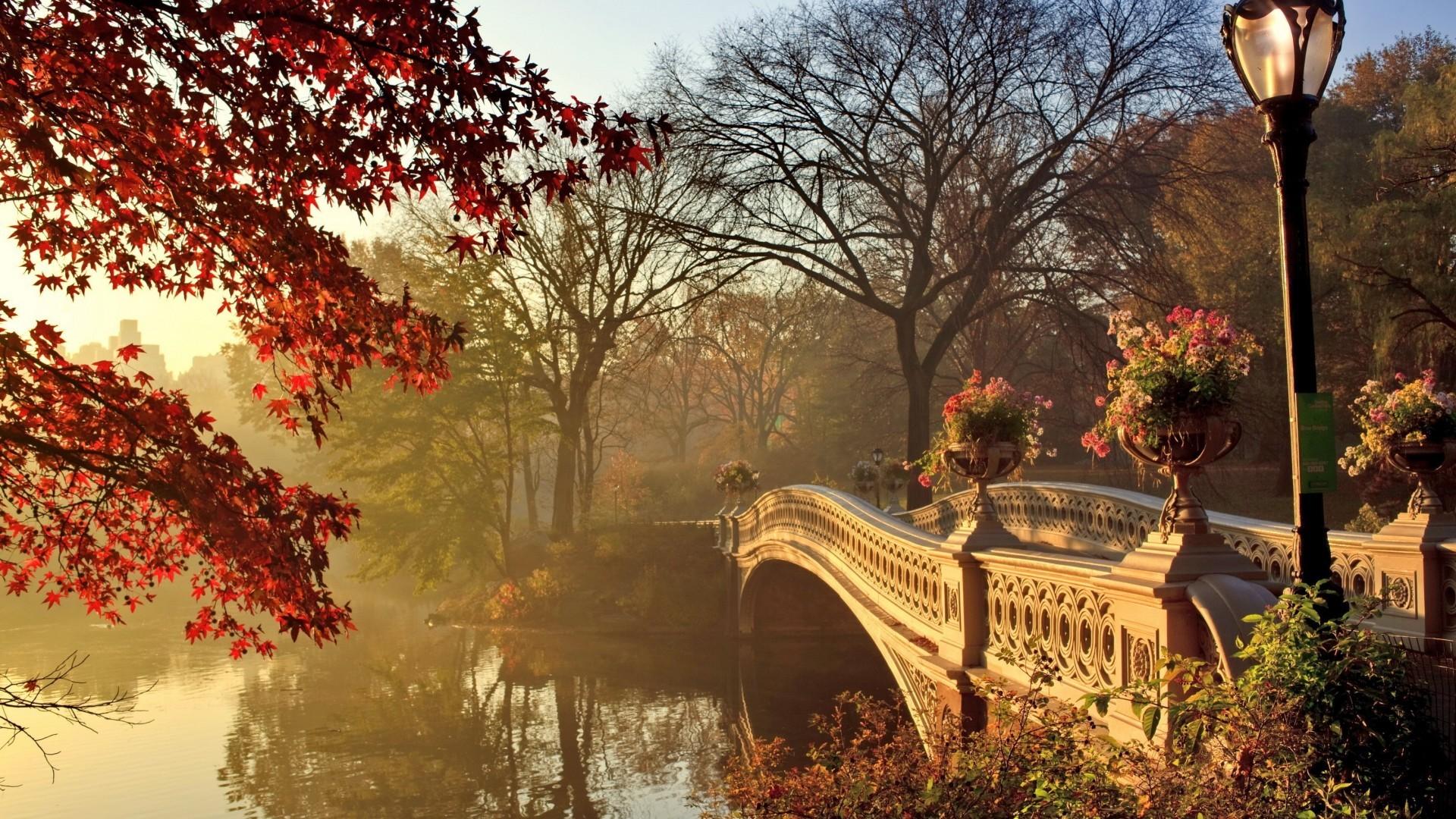 Download 1920x1080 Bridge, River, Autumn, Park Wallpaper for Widescreen