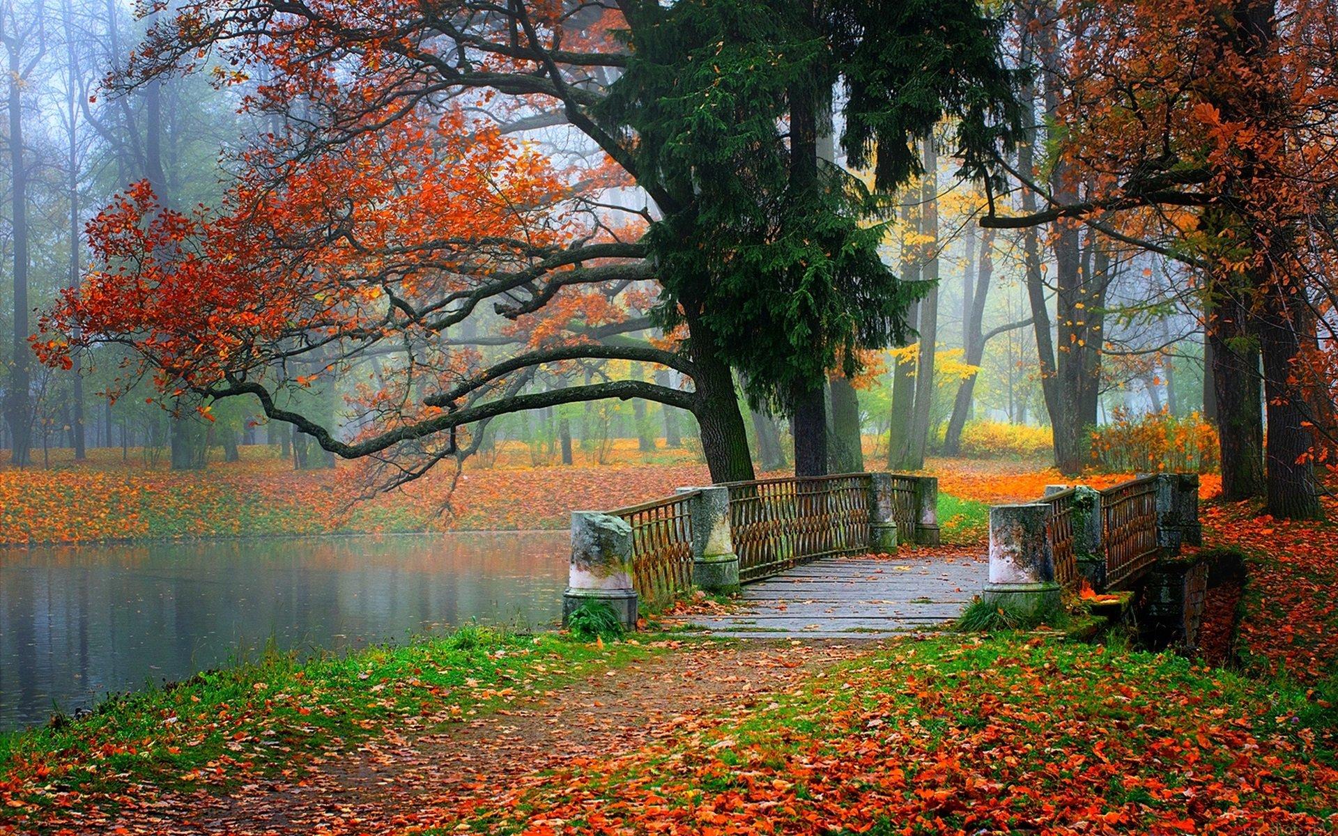 Autumn Serenity: A Scenic HD Wallpaper of Fall in the Park**