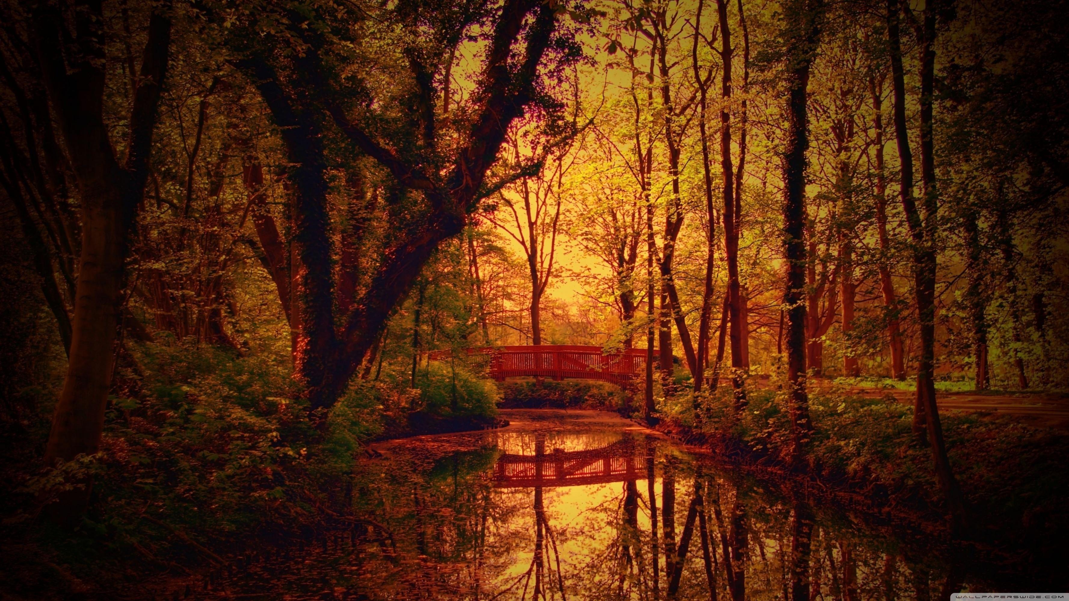 Park Bridge, Autumn Ultra HD Desktop Background Wallpaper for 4K UHD TV, Multi Display, Dual Monitor, Tablet