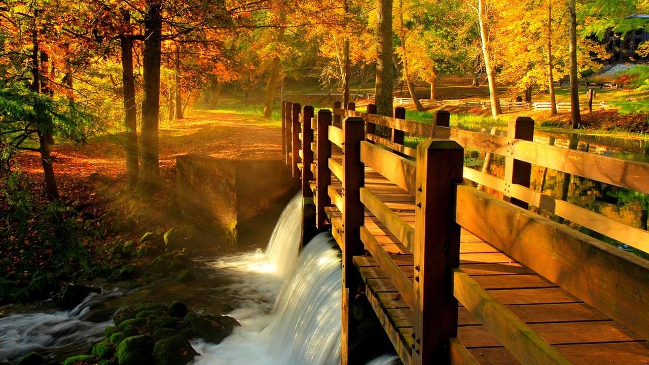 hdr, alley, walk, park, bridge, forest, fall, nature, view, water, autumn, river, trees, leaves desktop wallpaper 84888