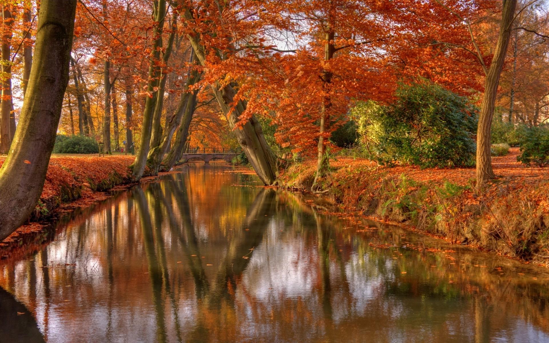 nature landscape park shrubs trees leaves canal