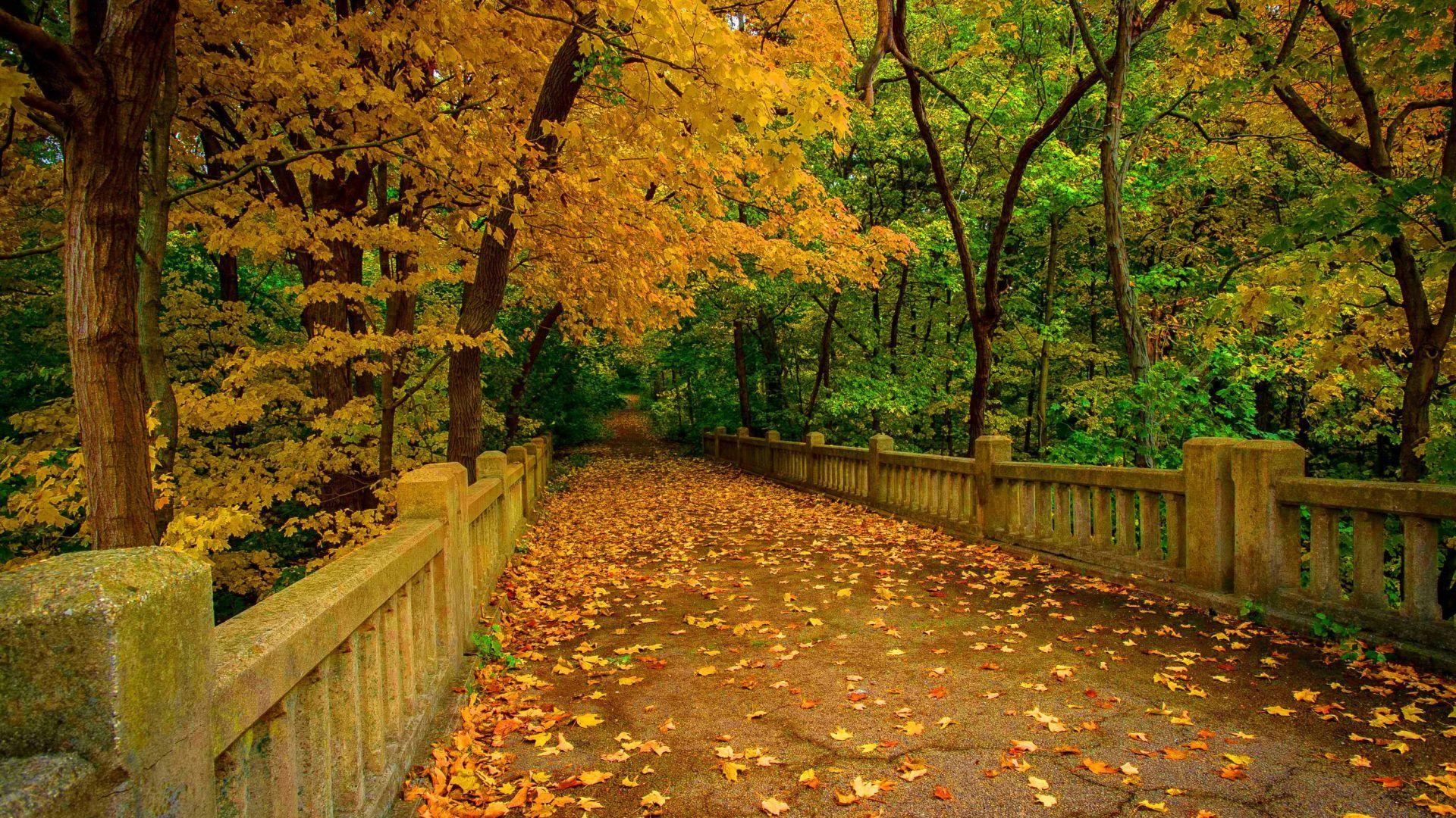 Park Bridge Fall Wallpapers - Wallpaper Cave